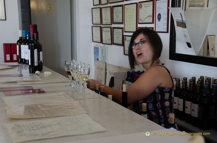 Wine-tasting Presenter