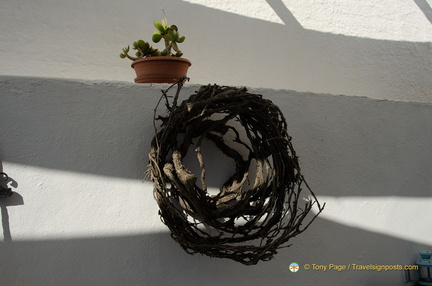 Basket-trained vine