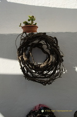 Basket-trained vine