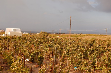 Santorini-Winery DSC 9462-watermarked-topaz