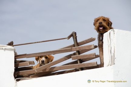 Oia-Village AJP 6068-watermarked