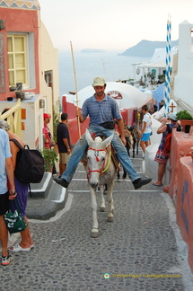 Getting around by donkey
