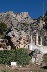 Delphi DSC 0497-watermarked