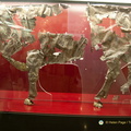 Delphi DSC 0905-watermarked (590 visits) Delphi DSC 0905-watermarked