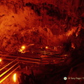 DSC 0391-watermarked-2