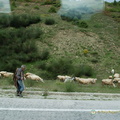 Metsovo DSC 0395-watermarked-2