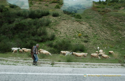 Metsovo DSC 0395-watermarked-2