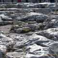 Athens DSC 0603-watermarked (677 visits) Athens DSC 0603-watermarked
