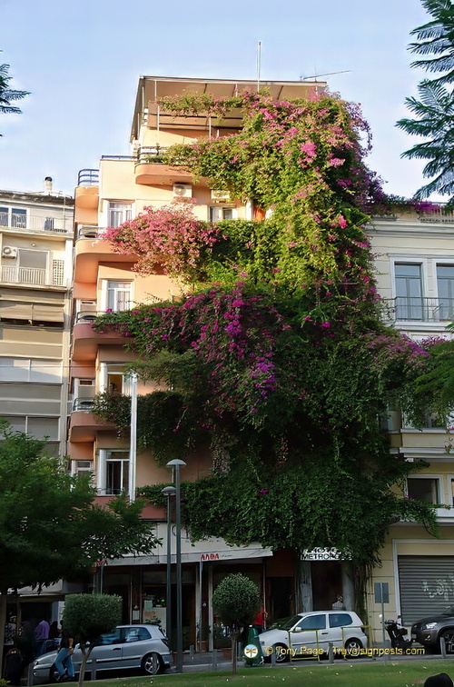 Athens AJP 6765-watermarked-2 (556 visits) Athens AJP 6765-watermarked-2