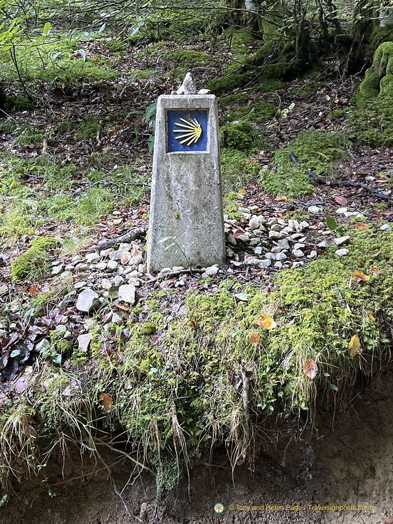 Camino shell