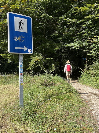 Walking through forests at Auritzberri Espinal
