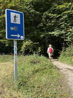 Walking through forests at Auritzberri Espinal