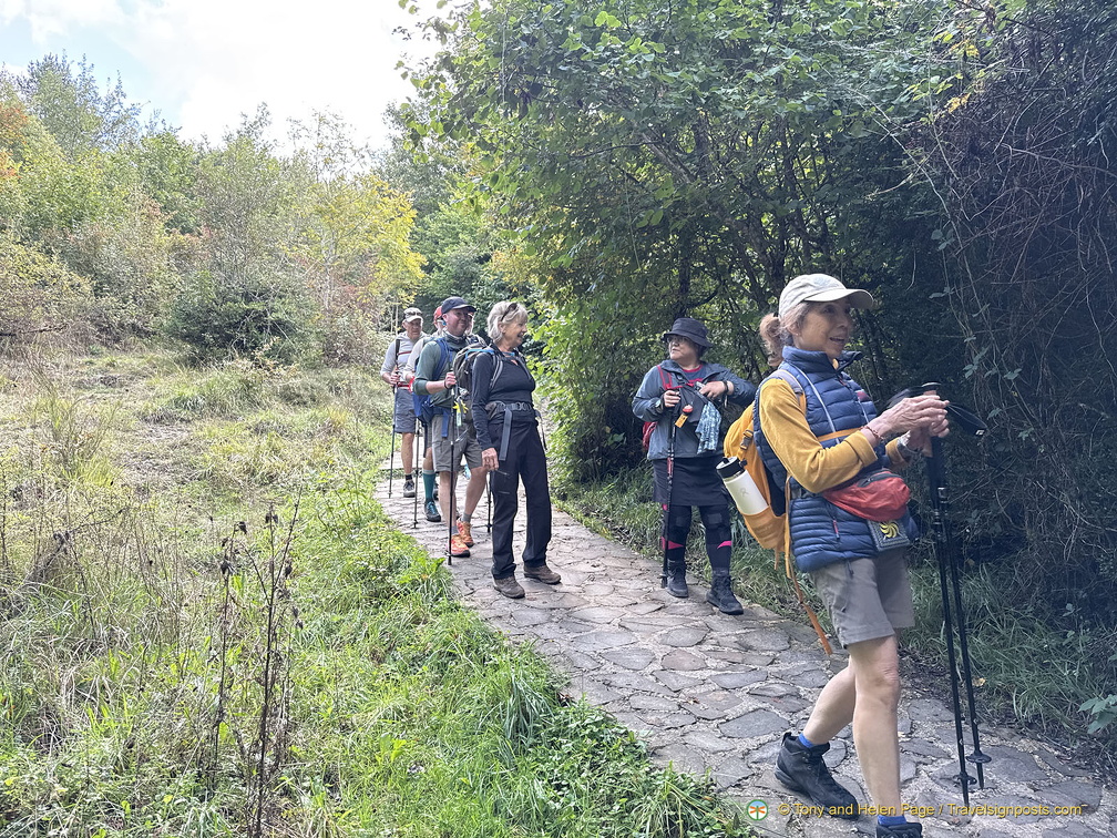 Camino Francés walkers