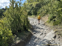 Rubbly path on the Camino