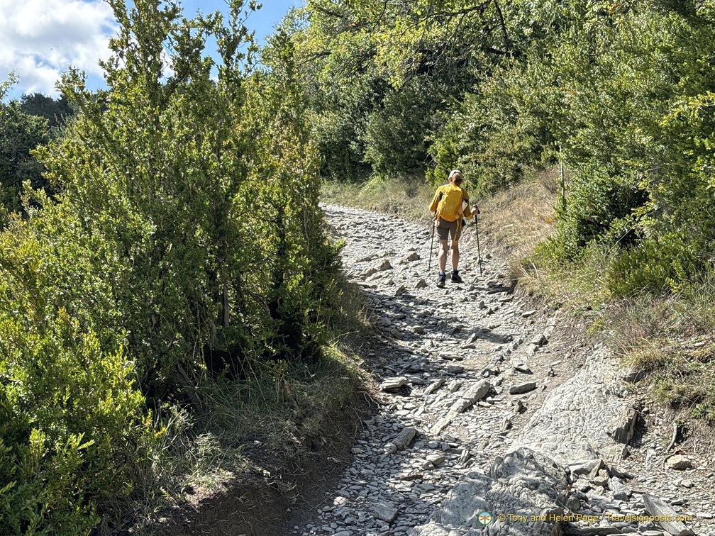 Rubbly path on the Camino