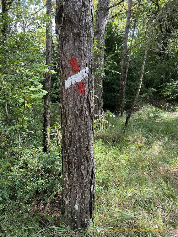 Wrong Way marker