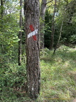 Wrong Way marker