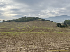 Farm landscape