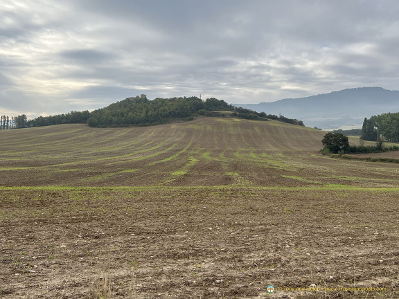 Farm landscape