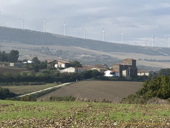 Wind farm landscape