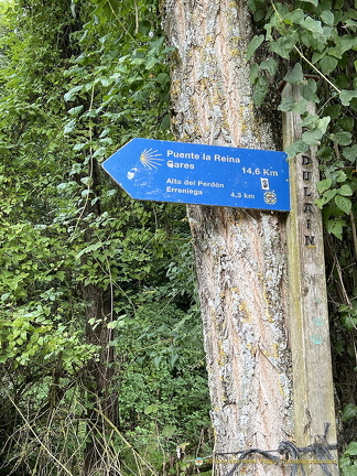 14.6 kms to Puenta la Reina