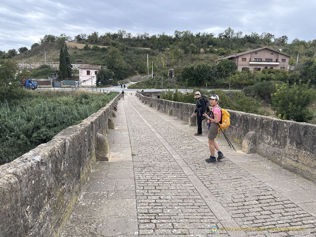 Crossing Puenta la Reina