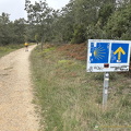 Nice easy stretch (1062 ביקורים) Road to Castilla y Leon Nice easy stretch