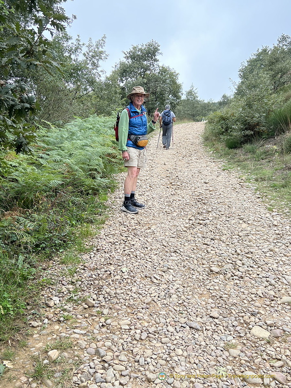 Montes de Oca