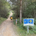 Walking through woodlands (760 ביקורים) From Montes de Oca the road takes us through woodlands Walking through woodlands
