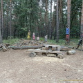 Unusual artwork in the woods (825 visits) Unusual artwork in the woods