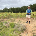Tony enjoying being with the sunflowers (827 besök) Tony enjoying being with the sunflowers
