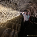 Wine cavern (958 visits) Bodega El Fabulista wine cavern Wine cavern