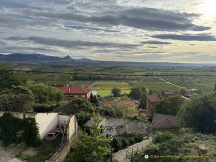 View of vineyards in Rioja Alavesa