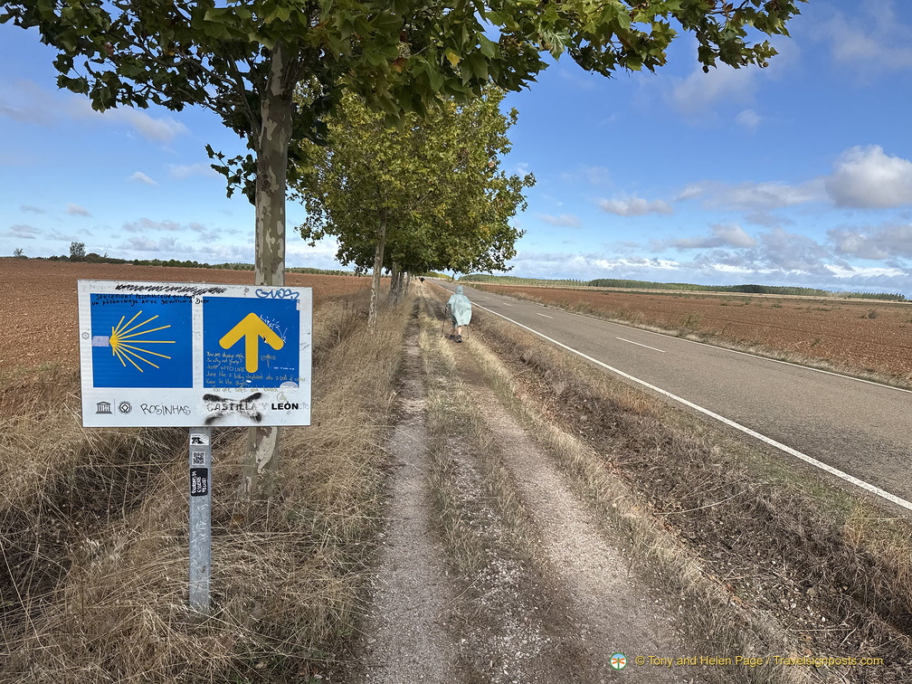 IMG 0622 (1)-watermarked (534访问量) IMG 0622 (1)-watermarked