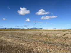 IMG 0636-watermarked