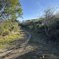 IMG 0654-watermarked (927 visingar) IMG 0654-watermarked