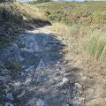 IMG 0685-watermarked