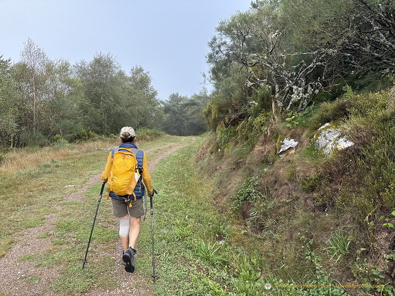 IMG 0714-watermarked (808 visits) IMG 0714-watermarked