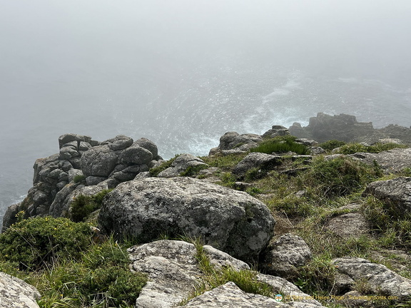 IMG 5001-watermarked