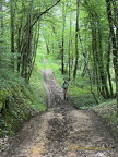Beaulieu-sur-Dordogne IMG 0699