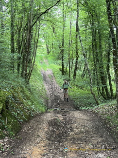 Beaulieu-sur-Dordogne IMG 0699