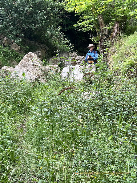 Carennac IMG 0716 (459 visits) Carennac IMG 0716