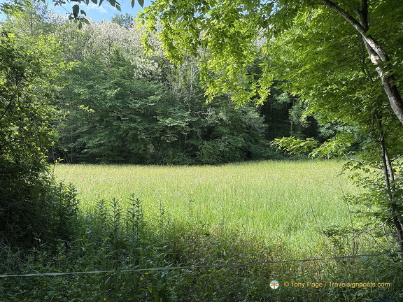 Carennac IMG 0792 (441 visits) Carennac IMG 0792