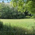 Carennac IMG 0792 (441 visits) Carennac IMG 0792