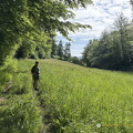 Carennac IMG 0793 (382 visits) Carennac IMG 0793