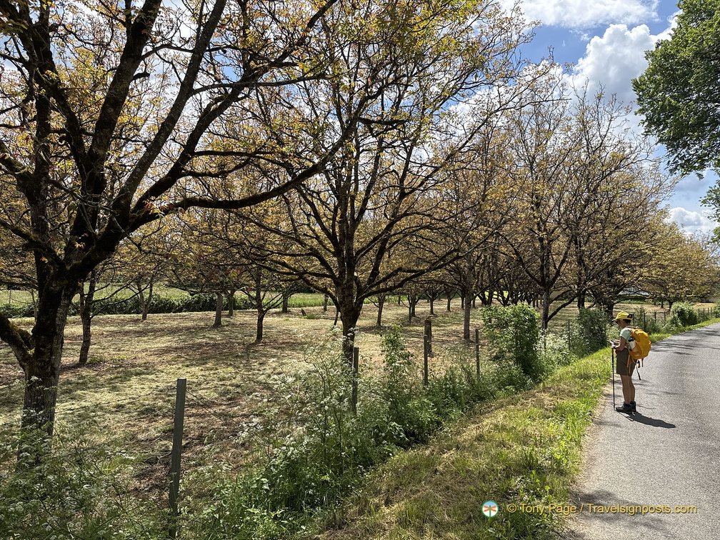Carennac IMG 0801 (372 visits) Carennac IMG 0801