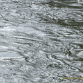 Carennac IMG 0807 (335 بازدید) Carennac IMG 0807