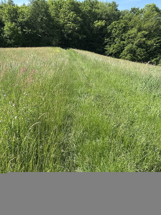 Carennac IMG 0795 (332 visits) Carennac IMG 0795