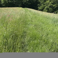 Carennac IMG 0795 (332bezoeken) Carennac IMG 0795