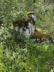 Loubressac IMG 0819